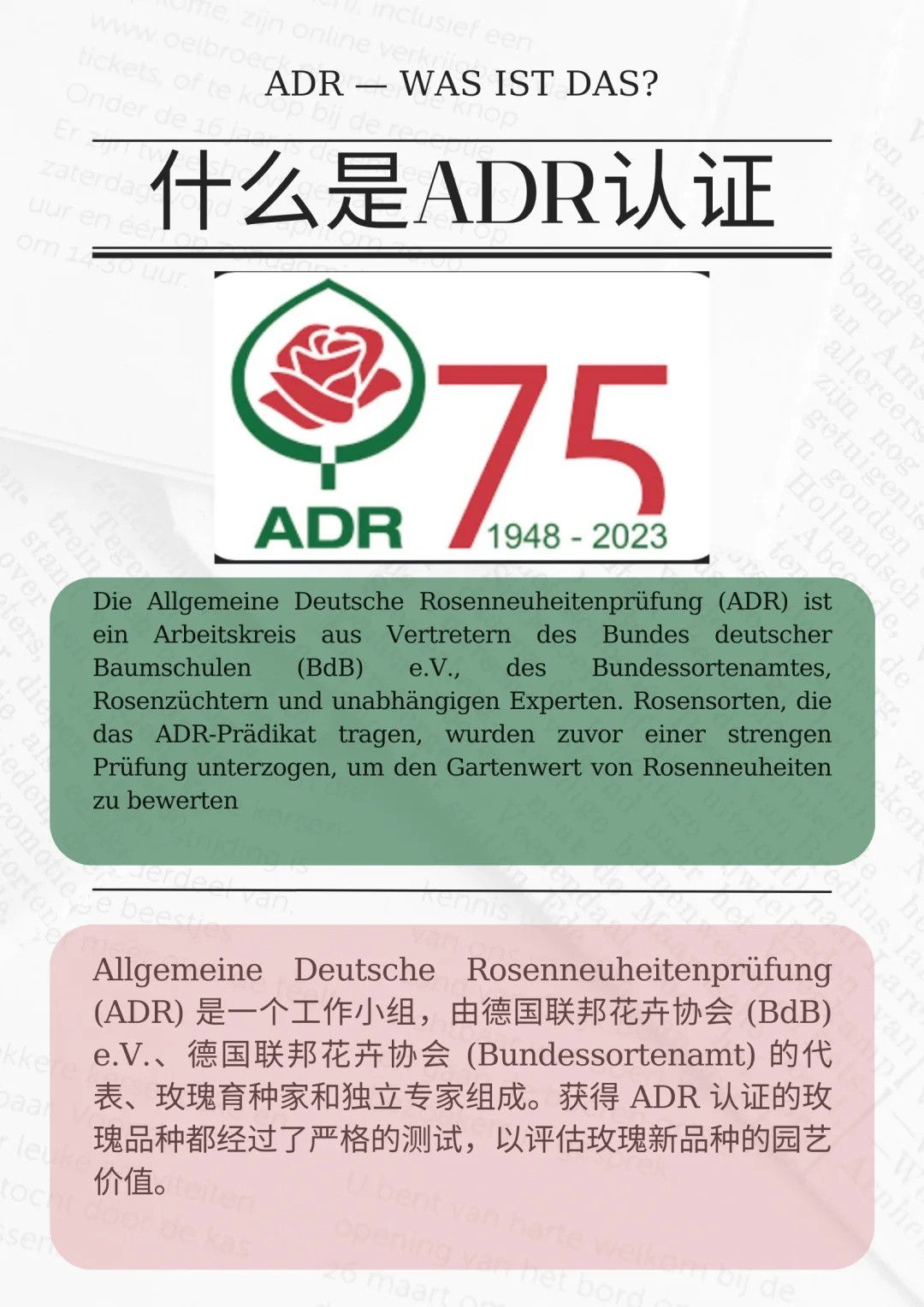 什么是ADR認證，ADR月季官網(wǎng)名單